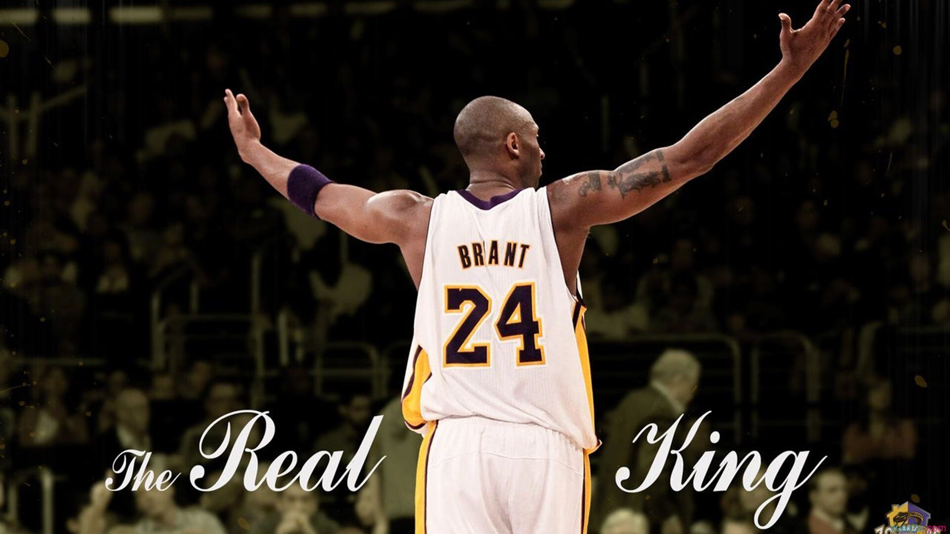 巴尔韦德惊艳四座,当阿根廷的利刃刺穿荷兰的郁金香